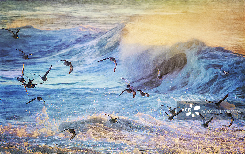 长岛琼斯海滩的日出海浪、泡沫和飞鸟海景图片素材