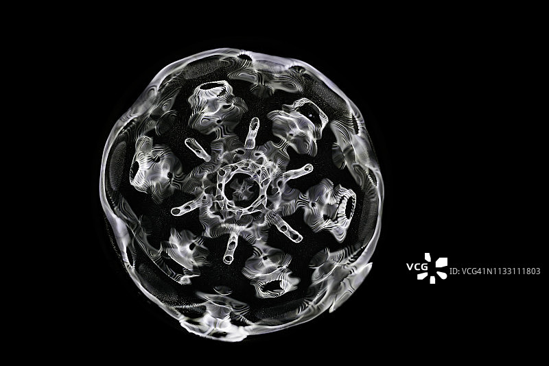 在不同频率的声音驱动下，水的Cymatic模式图片素材