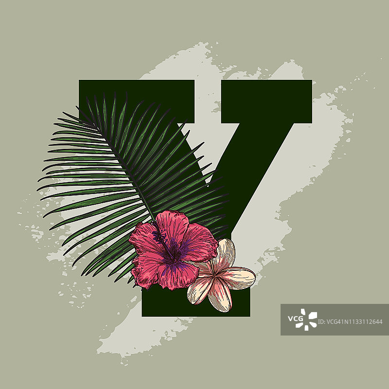 鲜艳的热带花卉植物首字下沉设计图片素材