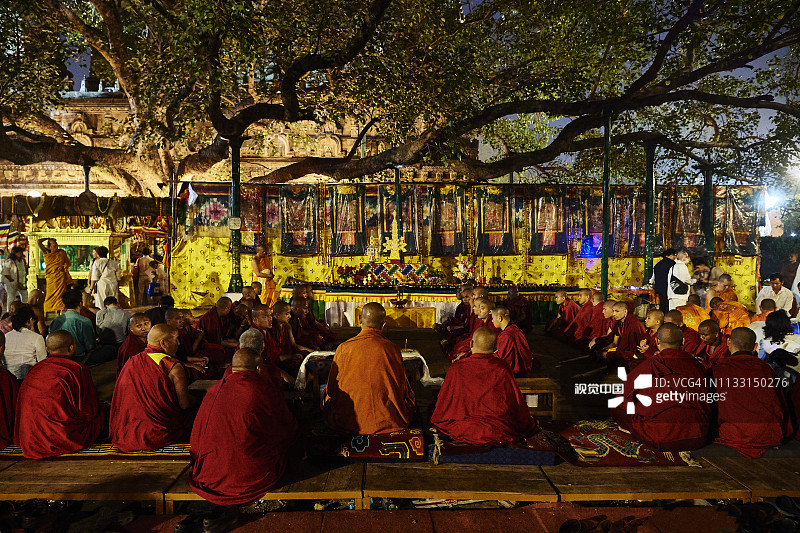 印度菩提伽耶佛教圣菩提树下的僧侣图片素材
