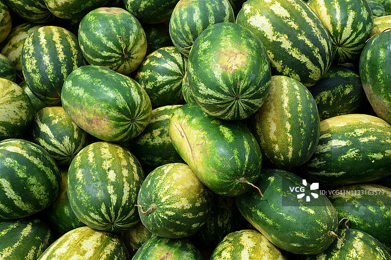 玻利维亚西瓜图片素材