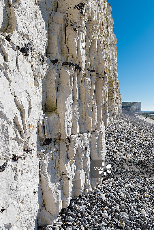 七姐妹白垩悬崖的燧石层特写图片素材