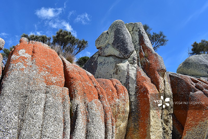 火焰湾，塔斯马尼亚，澳大利亚图片素材