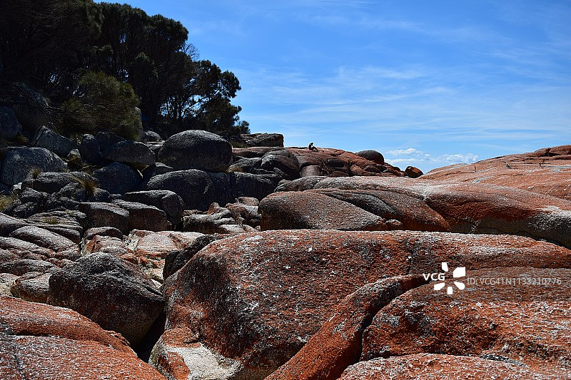 火焰湾，塔斯马尼亚，澳大利亚图片素材