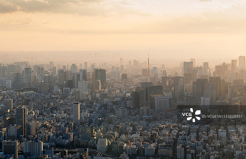 从晴空塔看到的东京景观图片素材