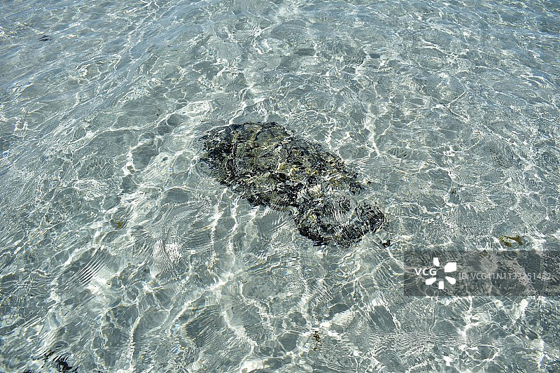 火焰湾，塔斯马尼亚，澳大利亚图片素材