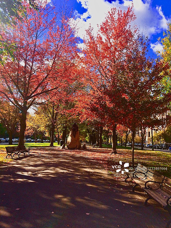 波士顿的秋天图片素材