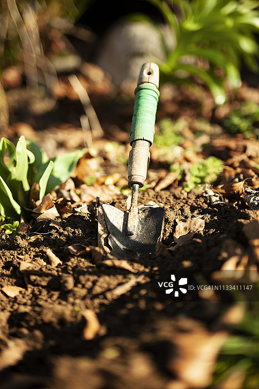 刚挖完洞的地面上的小铲子图片素材
