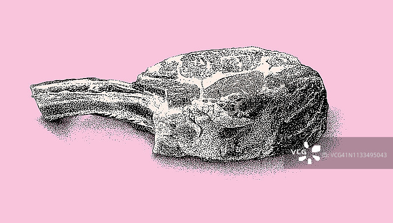 带骨肋眼牛排图片素材