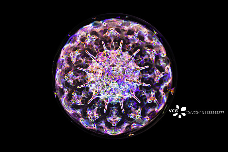 在不同频率的声音驱动下，水的Cymatic模式图片素材