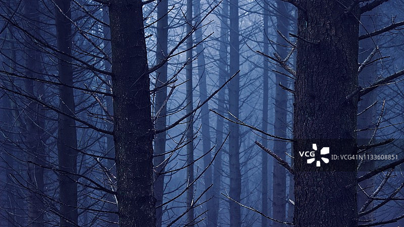 凌晨3点图片素材