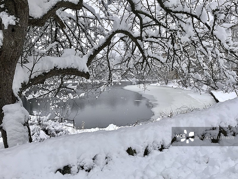 三月雪河畔图片素材
