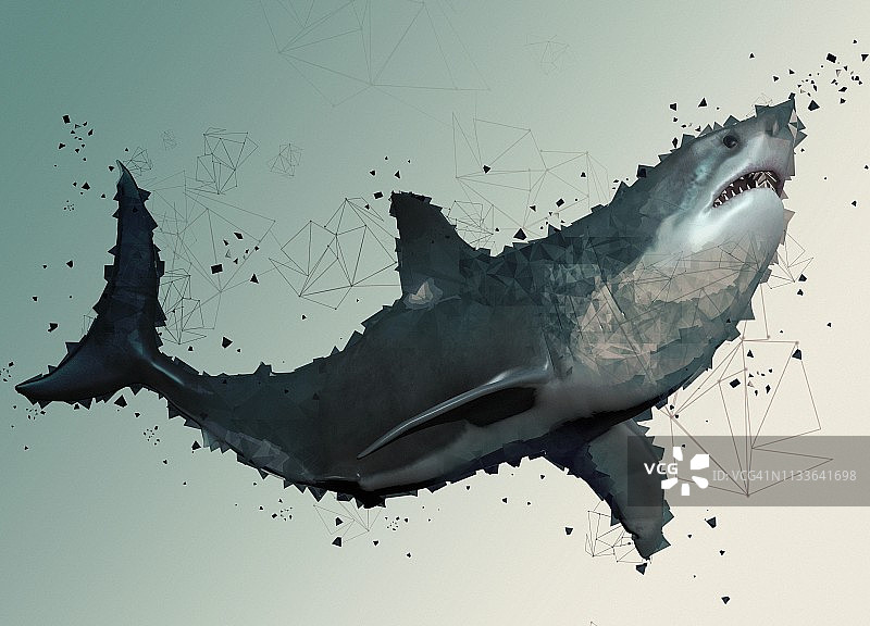 巨齿鲨图片素材