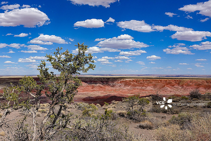 亚利桑那州石化林国家公园的彩绘沙漠台地图片素材