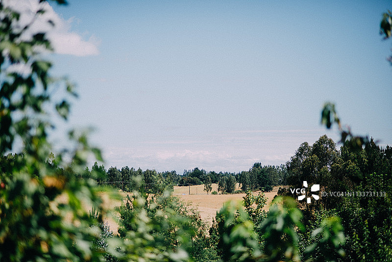 夏季乡村风光图片素材