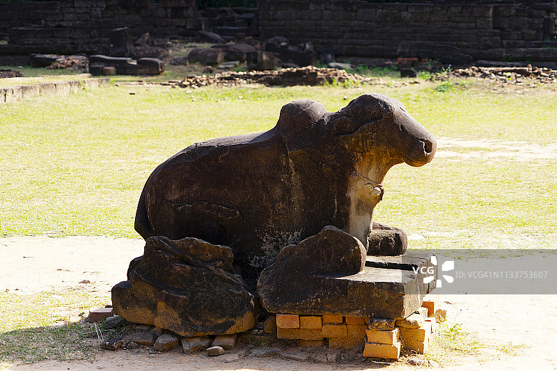柬埔寨暹粒Preah Ko的牛雕像图片素材