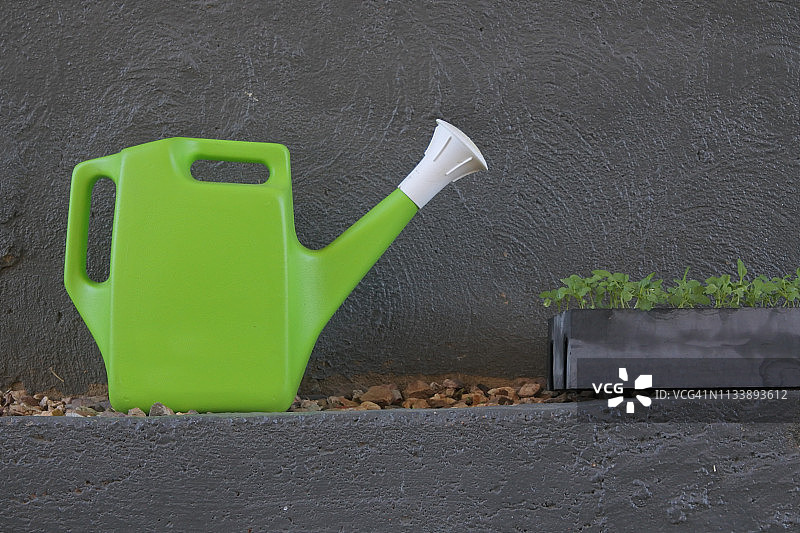 浇水壶和植物图片素材