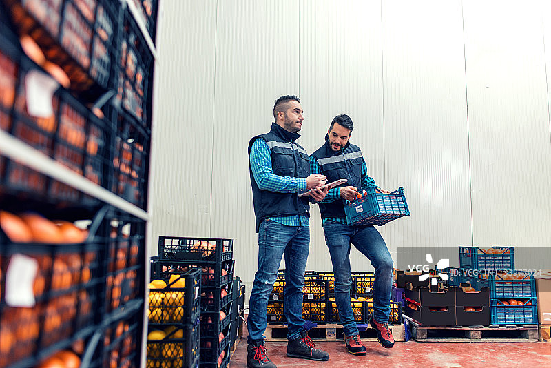 仓库中的新鲜果蔬图片素材