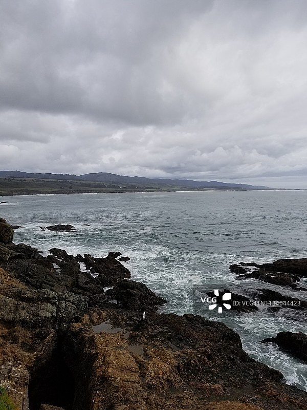 鸽子角图片素材