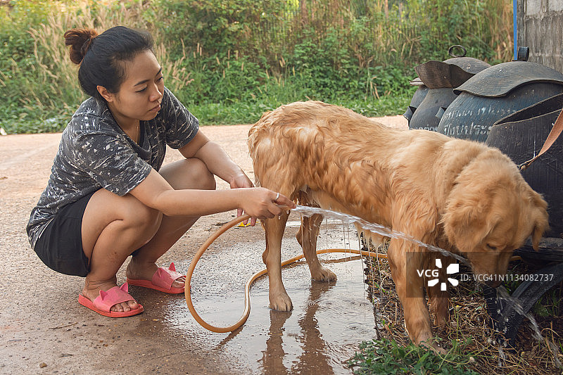 女人和金毛猎犬在户外一起沐浴图片素材