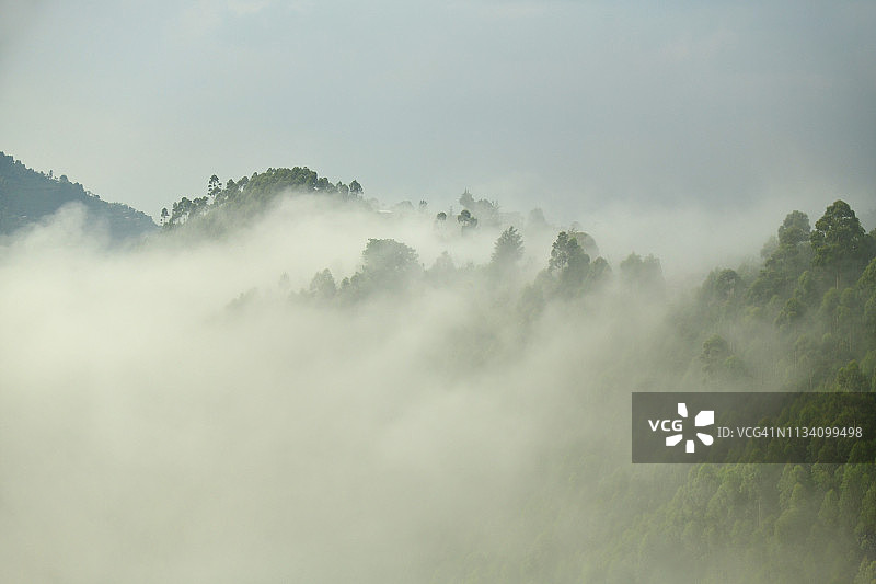 雾中覆盖着农作物的绿色山谷和陡峭山脉图片素材