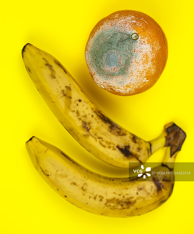 水果的成熟过程图片素材