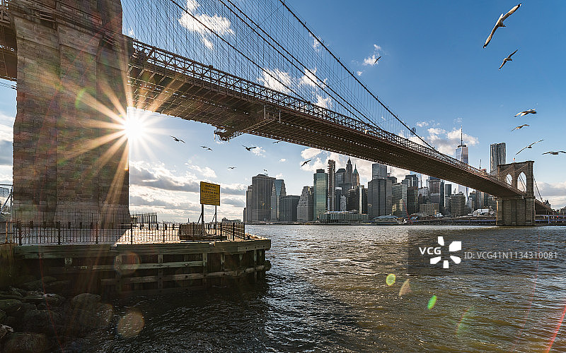 布鲁克林大桥附近飞鸟合成图图片素材
