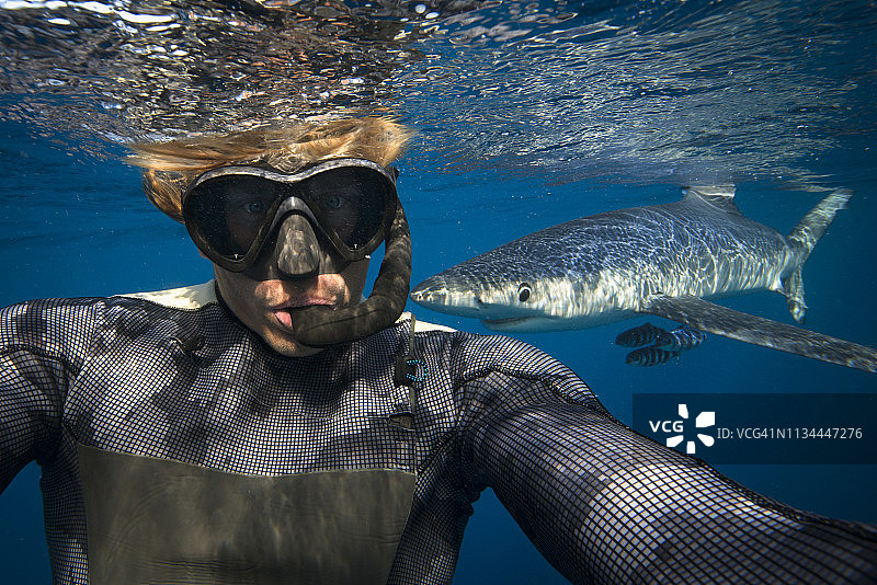 潜水员与蓝鲨，背景为爱尔兰科克郡南部图片素材