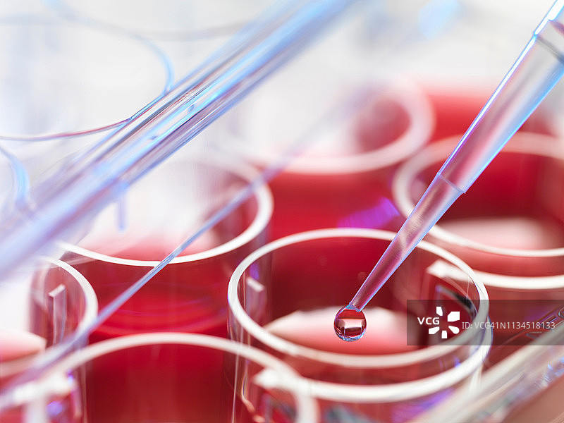 移液器中液体的特写图片素材