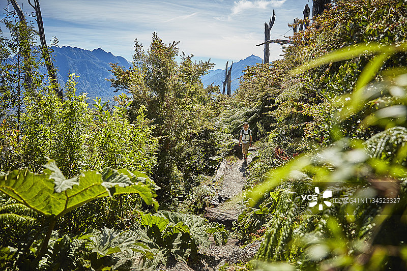智利柴滕蓬马林公园在柴滕火山徒步旅行的男孩图片素材