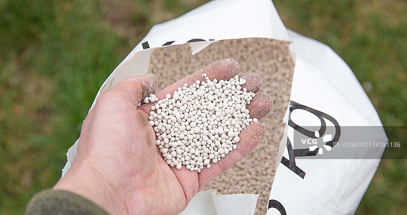 黎明草坪图片素材