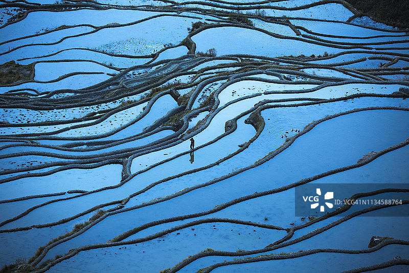 一名男游客正在游览中国云南元阳梯田图片素材