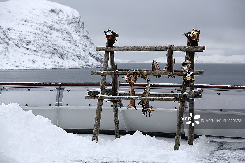 挪威北部哈沃于松附近北冰洋的渡轮上晾晒的鳕鱼图片素材