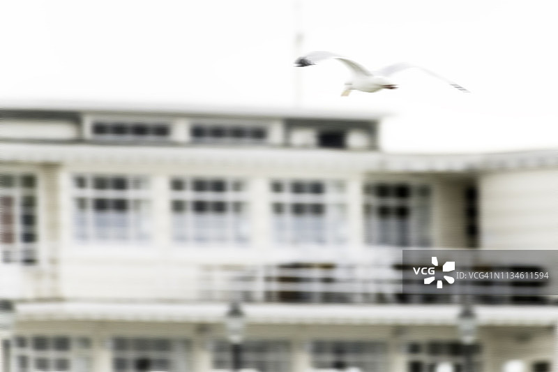 海鸥在西萨塞克斯沃辛码头飞翔图片素材
