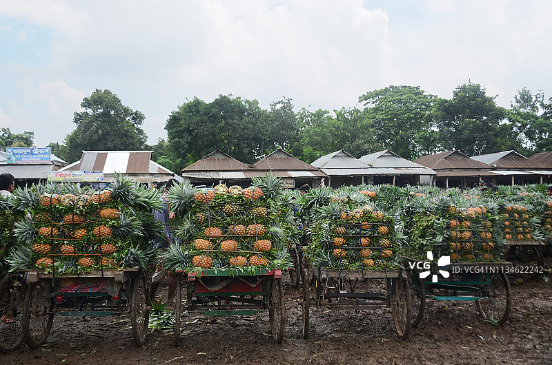 装满菠萝的三轮车图片素材