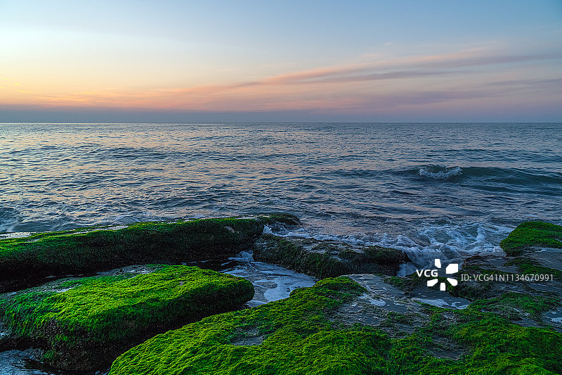 色彩斑斓的海岸与绿色海藻，浪花飞溅图片素材