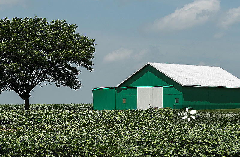 腹地的绿色谷仓图片素材
