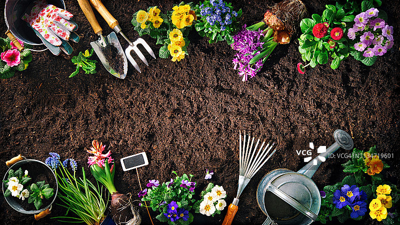 土壤上的园艺工具和鲜花图片素材