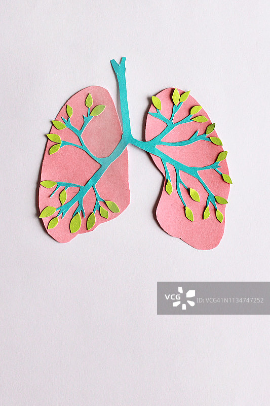 气管和肺图片素材