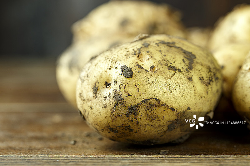 沾有泥土的新鲜小土豆图片素材