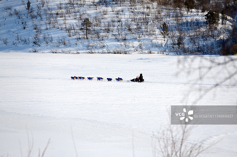 挪威北部卡拉肖卡河冰面上进行的雪橇犬比赛图片素材
