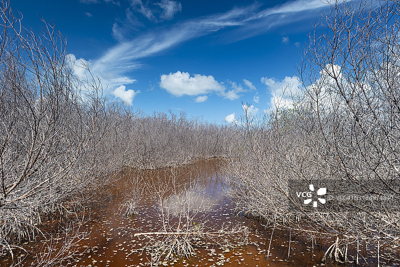 美国佛罗里达群岛长键州立公园图片素材