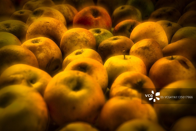 丰盛的苹果图片素材