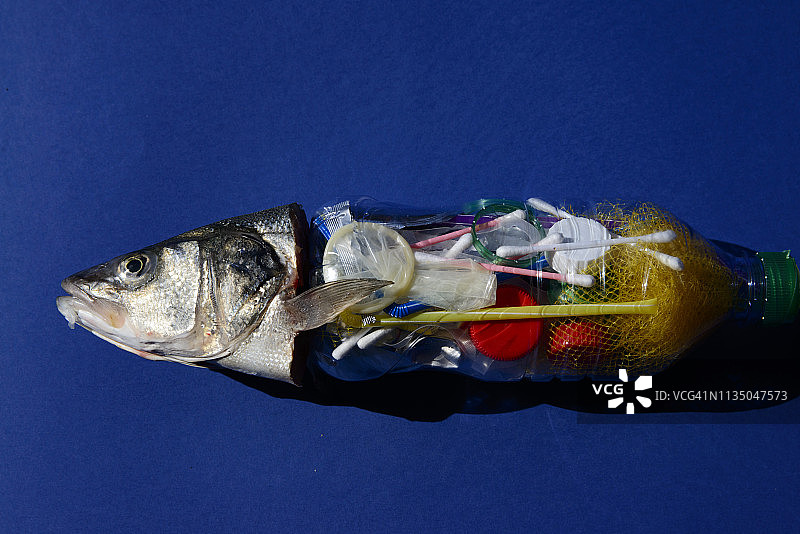 塑料生活图片素材