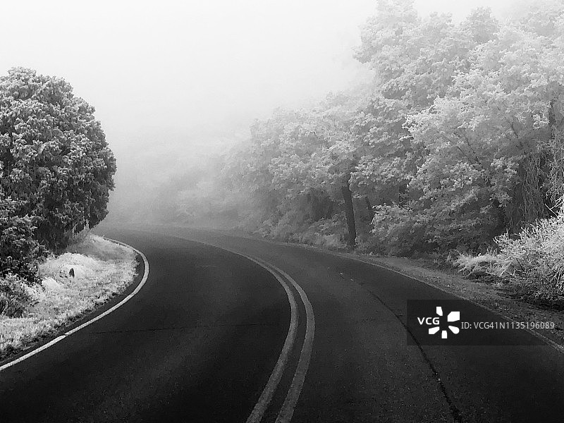 大弯国家公园公路图片素材