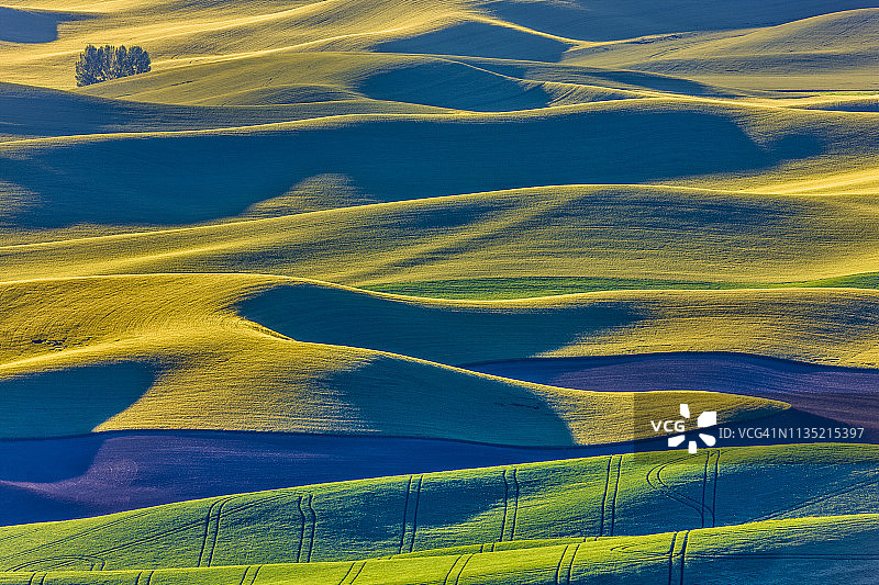 华盛顿州帕卢斯农田图片素材