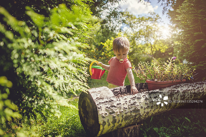 快乐儿童在夏日阳光明媚的一天园艺图片素材