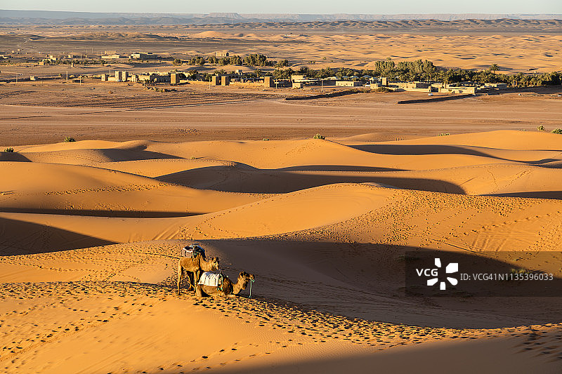 日落时分的撒哈拉沙漠骆驼沙丘，摩洛哥图片素材