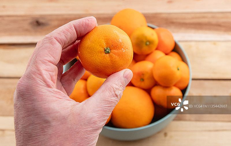 橙子和橘子图片素材