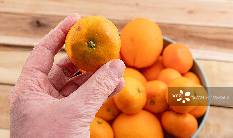 橙子和橘子图片素材